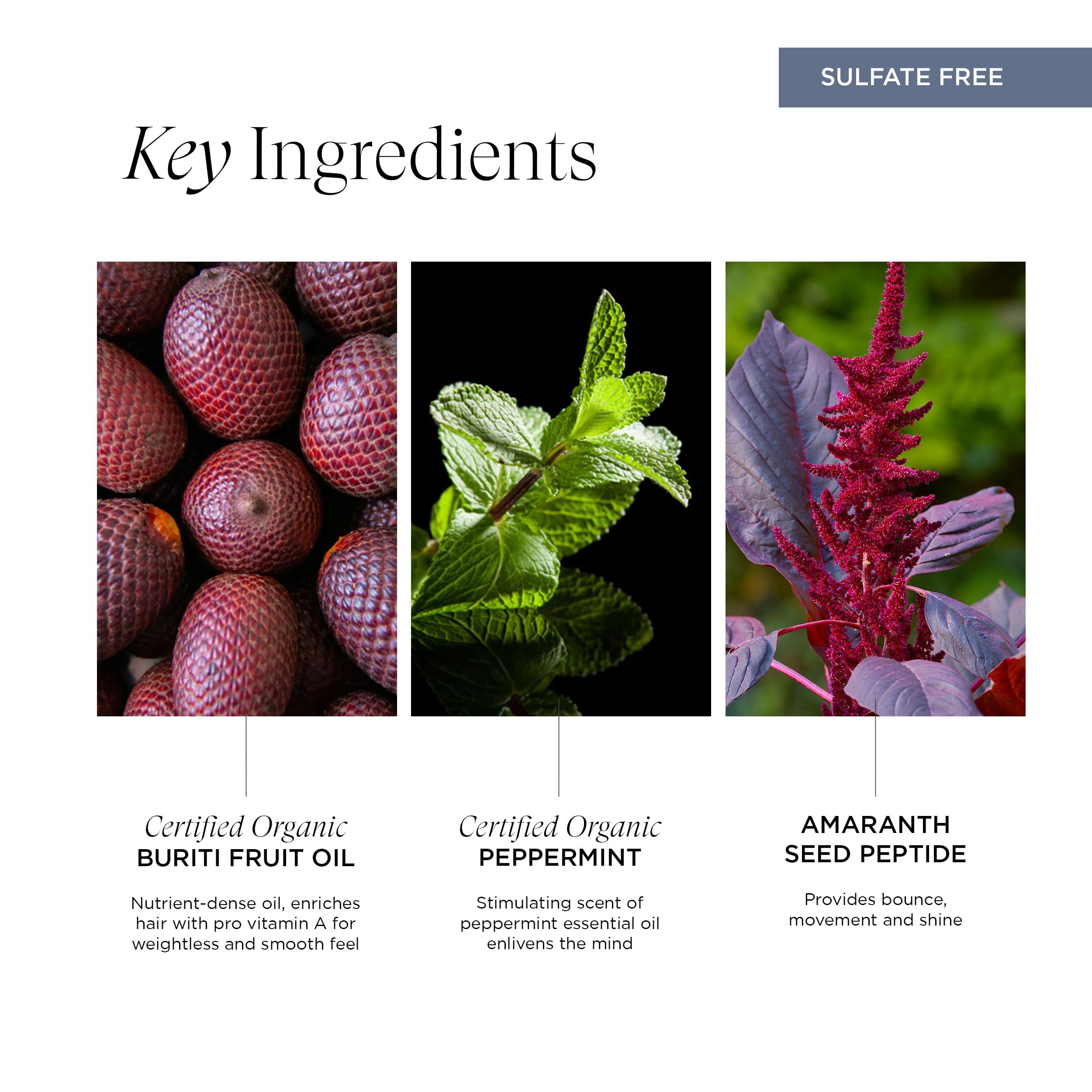 Intelligent Nutrients Intelligent Nutrients InspiraMint Shampoo, Invigorating Organic Mint Daily Shampoo for Fine and Oily Hair, Balancing, Refreshing, Color-Safe, 8.5 Fl Oz