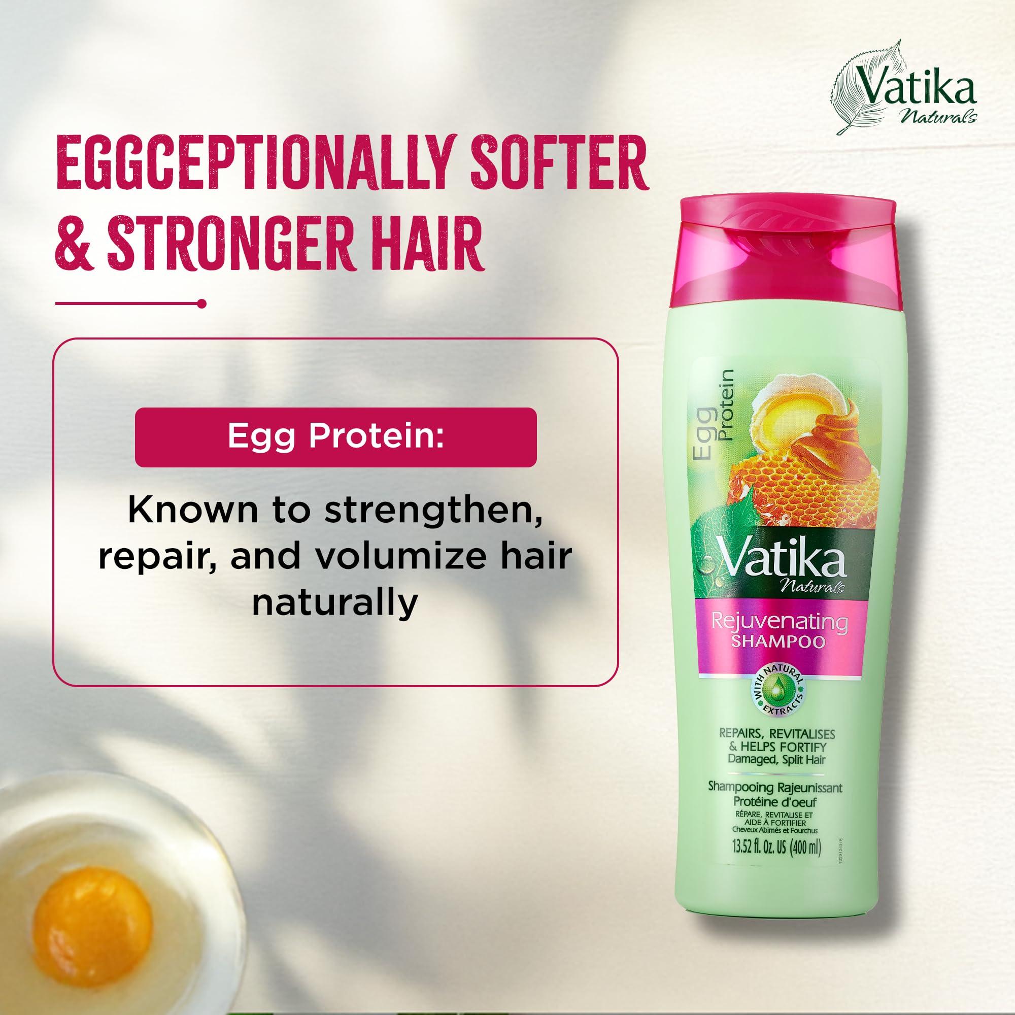 Vatika Naturals Dabur Vatika Naturals Shampoo and Conditioner Set (Egg Protein)