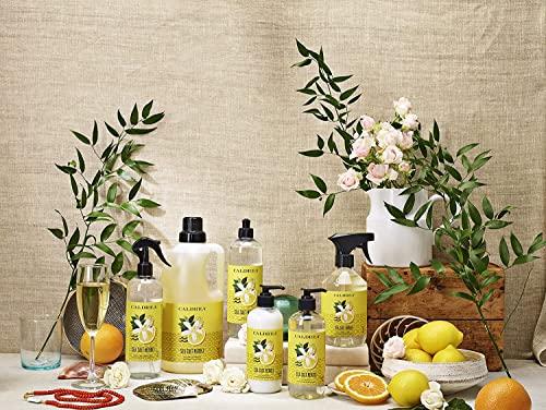 Caldrea Caldrea Dish Soap, Biodegradable Dishwashing Liquid made with Soap Bark and Aloe Vera, Sea Salt Neroli, 16 oz , 3 Pack