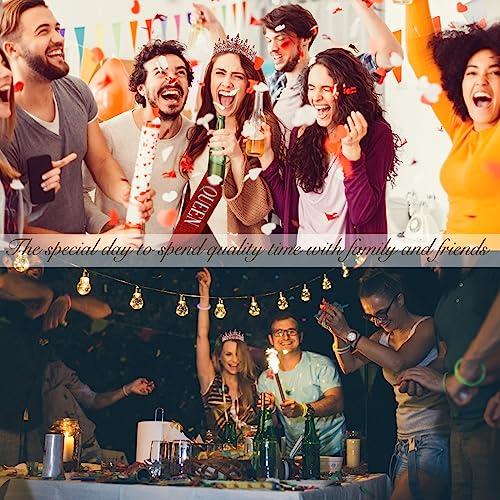 TIHEBAX Tihebax Birthday Queen Sash & Rhinestone Tiara Red Sliver Crown Birthday Sash and Tiara for Women Girls Princess Tiara Crown Birthday Accessories Headband and Sash for Girls