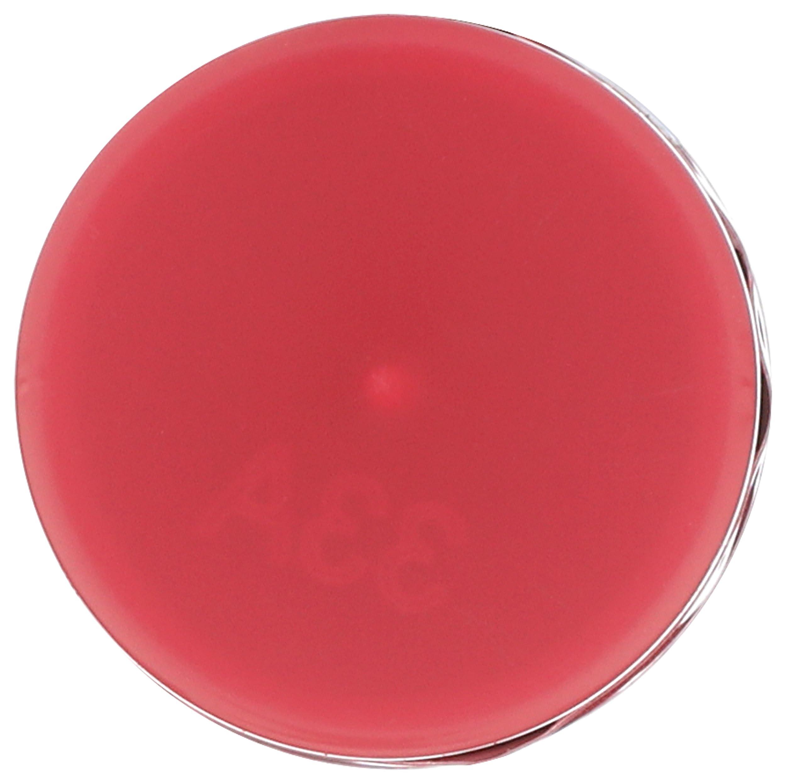 Burt's Bees Burts Bees Tinted Lip Balm Magnolia, 0.15 OZ