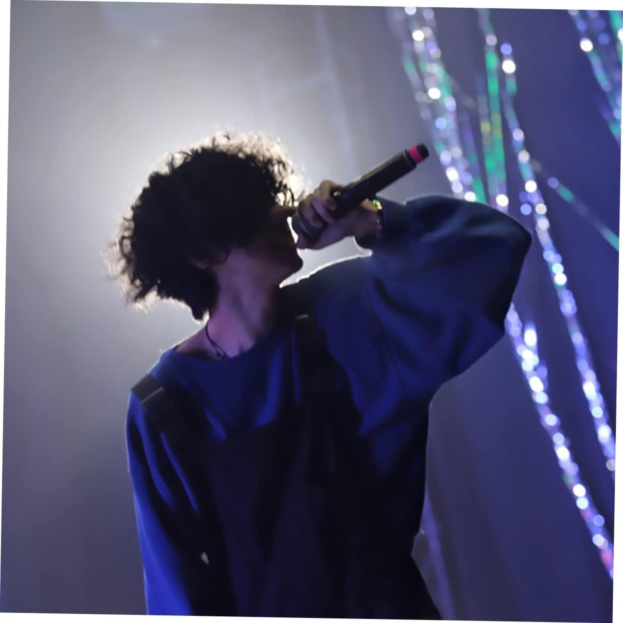 OHPHCALL OHPHCALL 1pc Afro Wig for Women Curly Full Wigs Small Afro Wig Wigs for Women Wig with Bangs Bouffant Wig Curly Hair Wig Fluffy Wig Short Bangs Wig Afro Wigs Curly Wig Hair Extensions Black