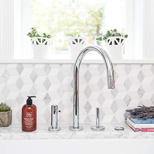 Soapbox Soapbox Liquid Hand Soap, Coconut Milk & Sandalwood, Gentle & Moisturizing Hand Wash for Kitchen and Bathroom, Vegan & Cruelty Free Scented Hand Soap 12 Ounce Pump Bottles (Pack of 3)