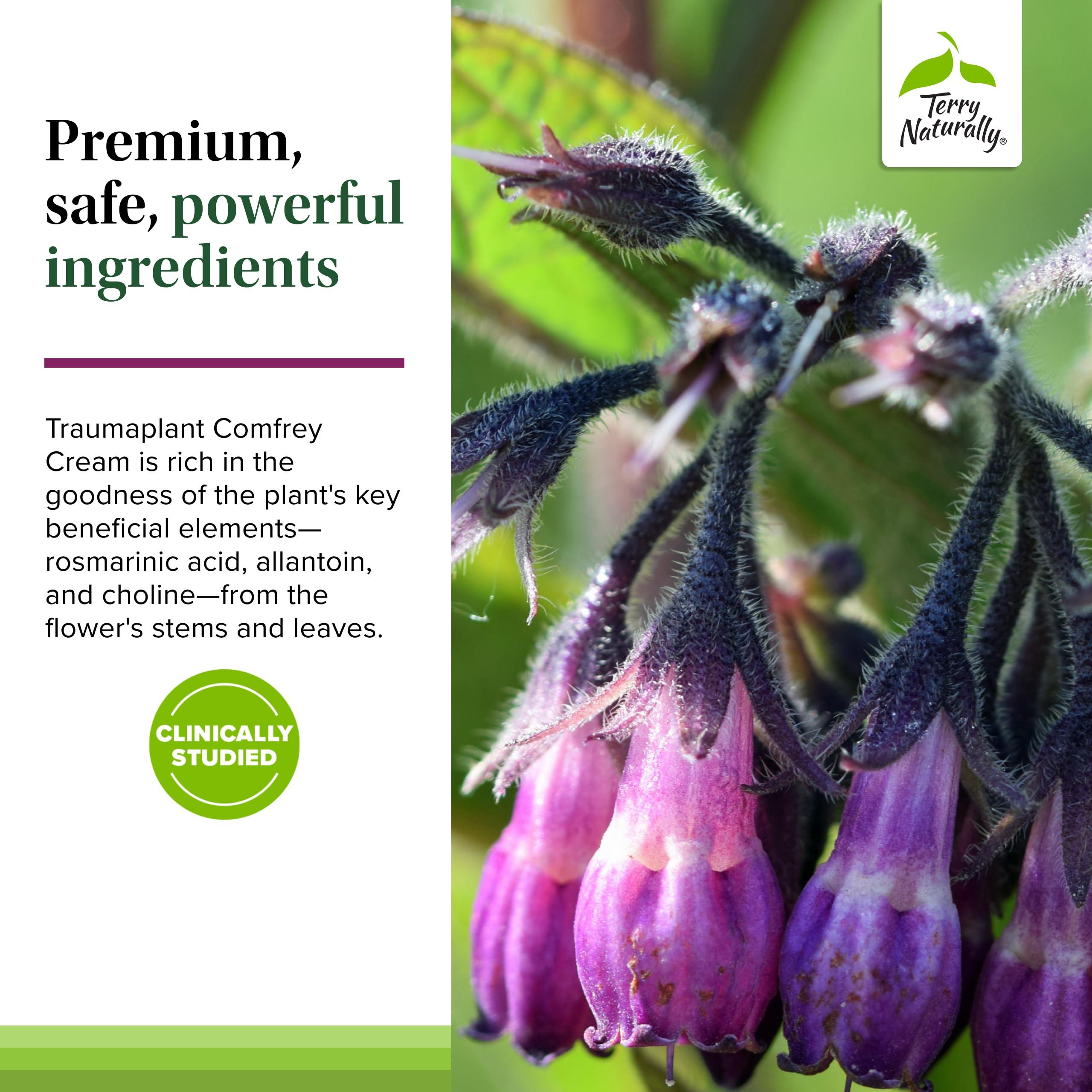 Terry Naturally Terry Naturally Traumaplant Comfrey Cream - Non-Staining Herbal Cream - Clinically Studied and Free of Pyrrolizidine Alkaloids - for External Use Only - 1.76 oz (2 Pack)