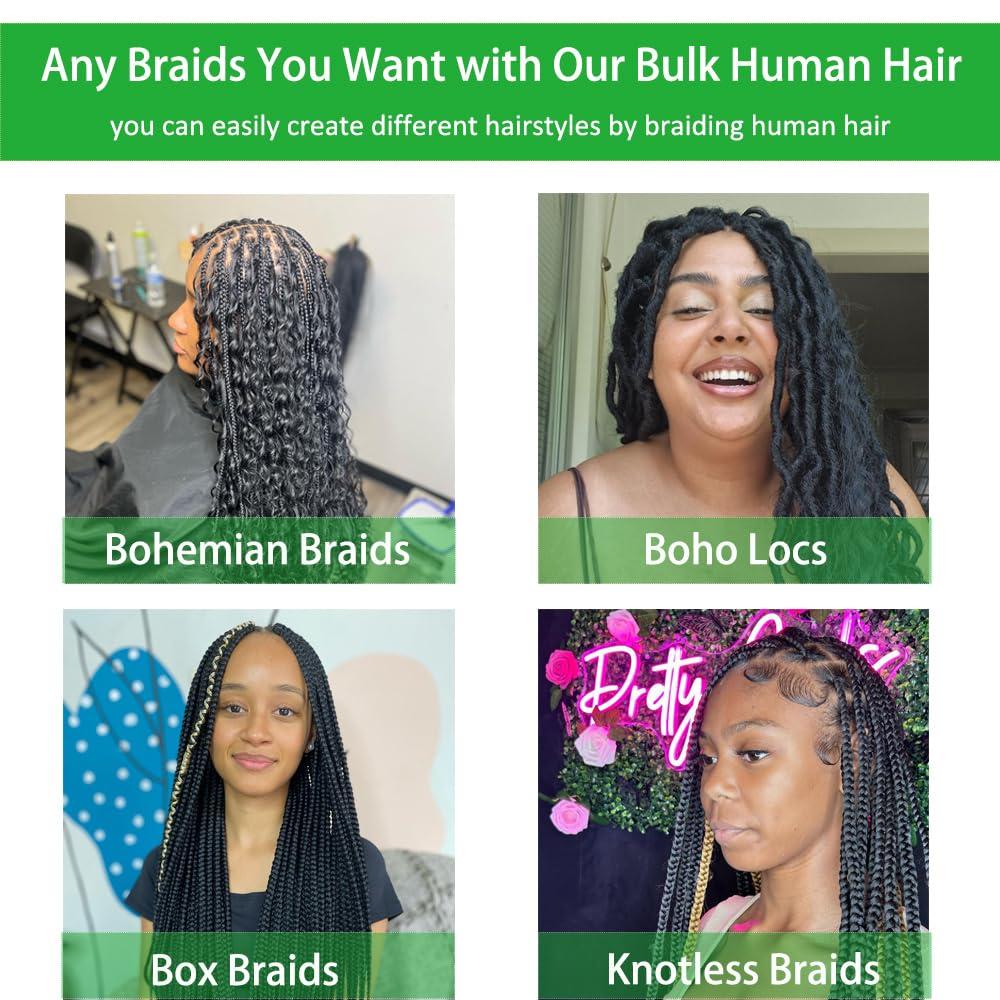 MIMORE Micro Braiding Hair Human Bulk Hair Wet and Wavy Super Bulk 18-100g (1Pack/2Bundles) Virgin Human Braiding Hair for Micro Braids Hair No Weft Human Hair Braid Extension (#350 Ginger Color,Super Bulk)