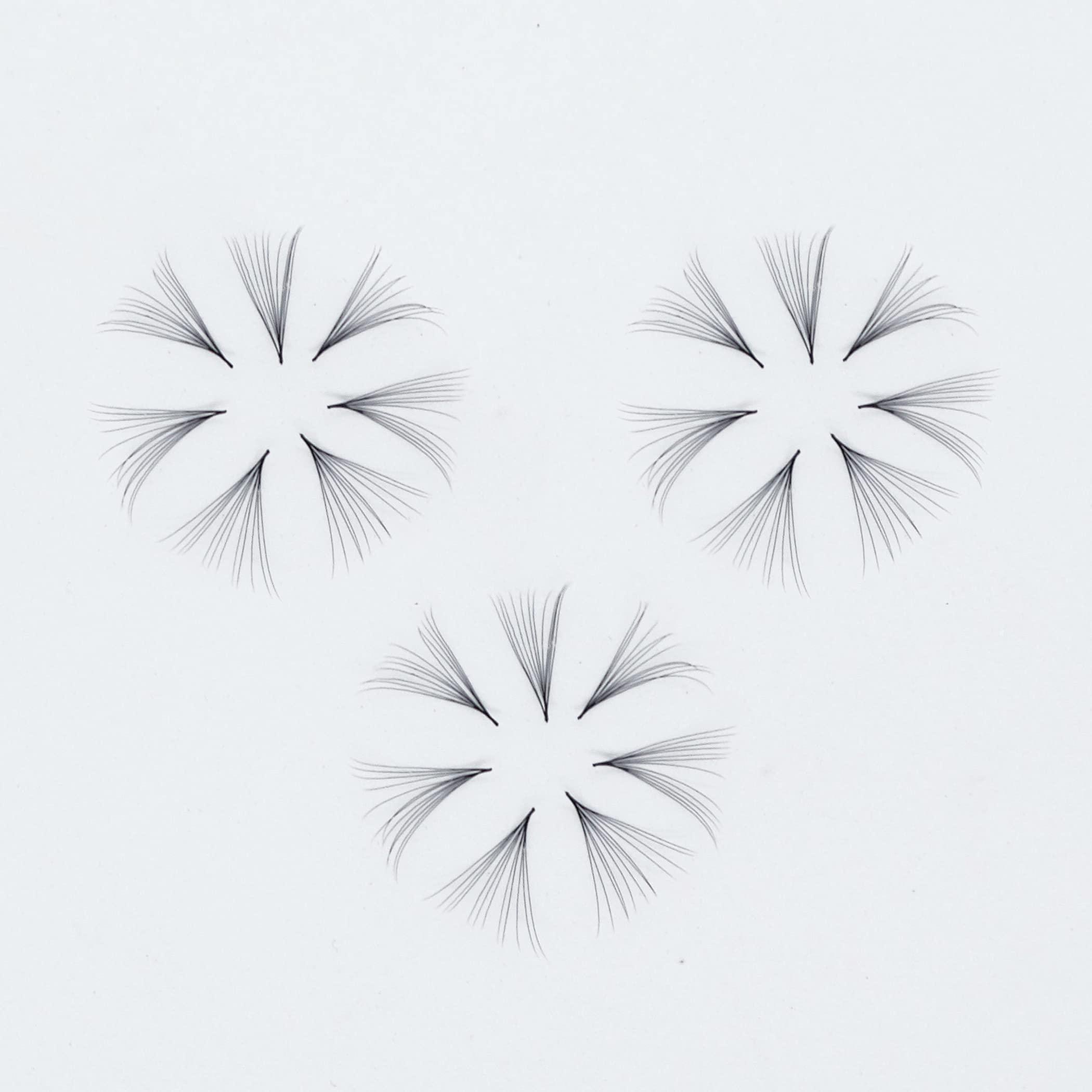 GorgeousLash 7D Lashes, 1000 Premade Volume Fans. Eyelash Extensions. Handmade! (7D 005 Curl C, 16mm)