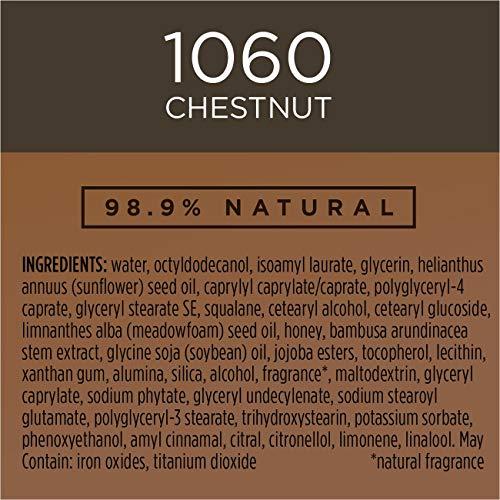 Burt's Bees Burt's Bees Goodness Glows Liquid Makeup, Chestnut - 1.0 Ounce