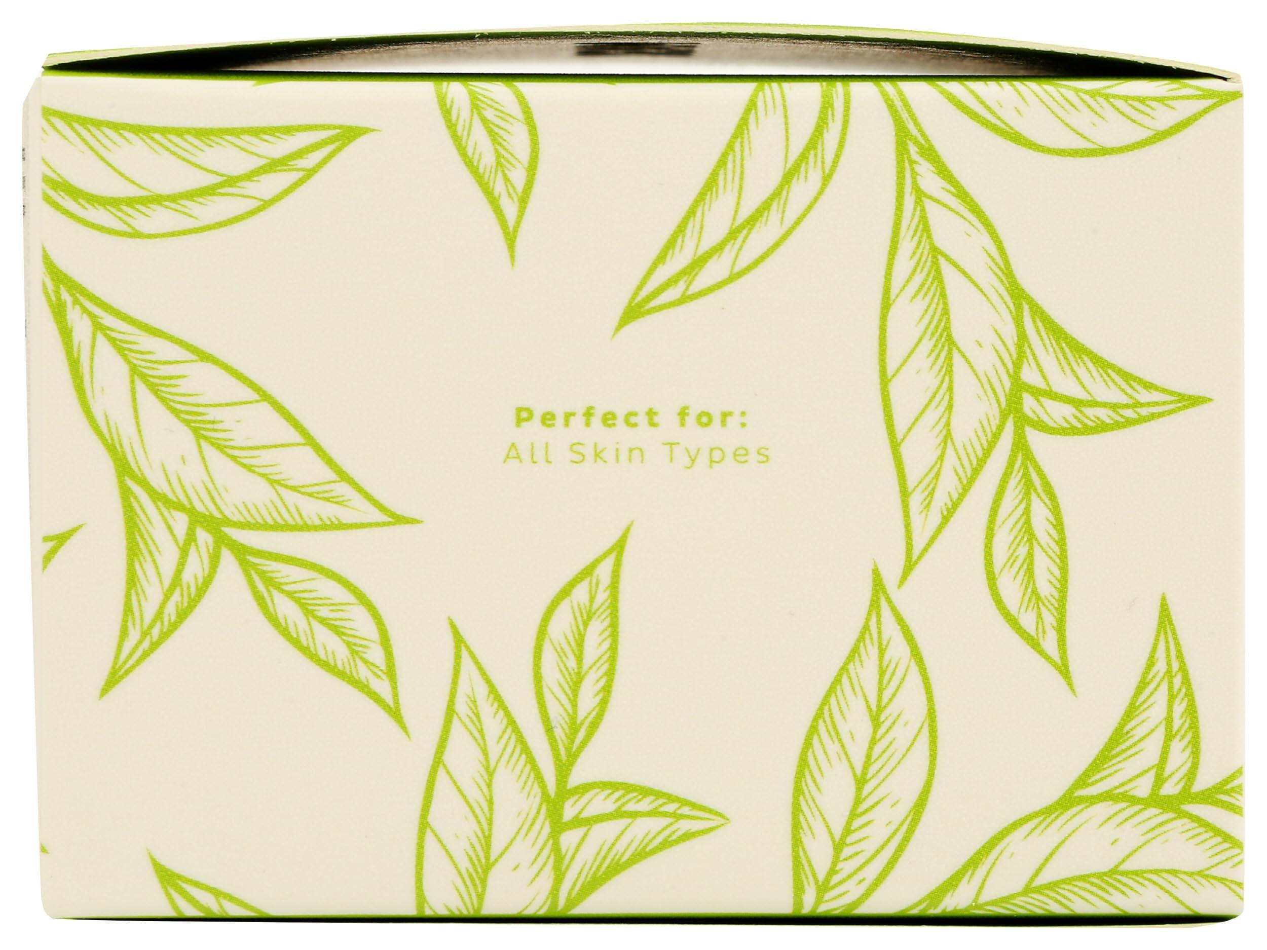 Teami Teami Detox Face Mask for Hydraiting, Moisturizing & Purifying, Blackhead Remover Green Tea Deep Cleanse Mask reduces Acne & oil, Pore Minimizer Clay Mask for All Skin Types 3.5 OZ