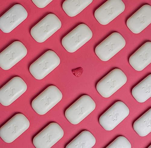 Pacific Spirit Pacific Spirit Bar Shampoo for normal hair with Coconut Oil & Raspberry, Rich foam, Sulfate-Free, Soap-Free, Zero Waste, Vegan, Eco-Friendly, 3.53 Oz