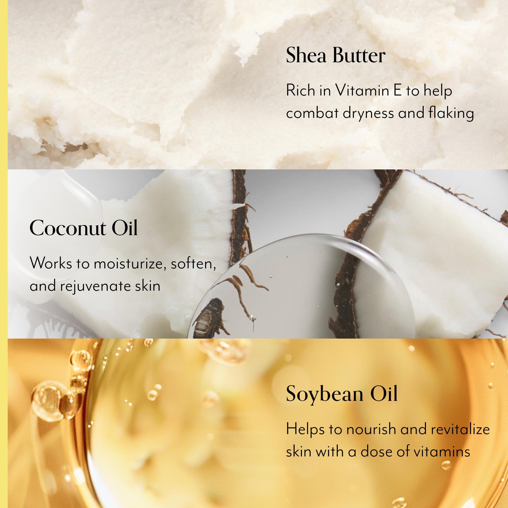 Bliss Bliss Lemon and Sage Body Butter - Maximum Moisture Cream - 6.7 Fl Oz Lotion for Dry Skin - Long-Lasting Moisturizer for Women & Men - Vegan and Cruelty-Free