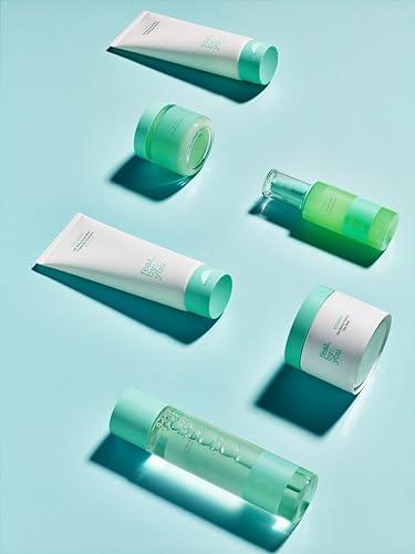 LB Love Organics LB Love Organics Lip Love | Organic Lip Balm | Organic beeswax and Plant Based | Natural Lip Balm (Vanilla Mint)