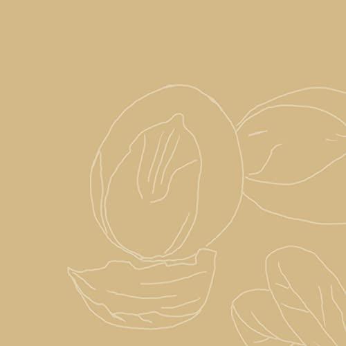 SheaMoisture SheaMoisture Raw Shea Butter Deep Treatment Masque Hair Treatment, 12 Ounce
