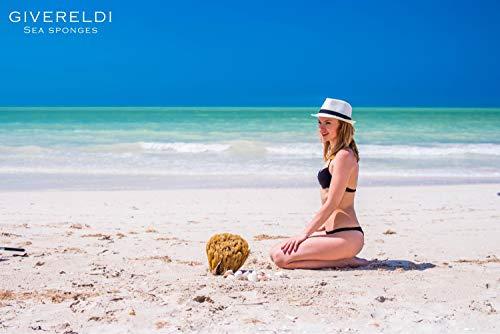 K\'ryssma Kryssma Highlight Blonde Reddish Brown 13x6 Lace Front Wig Pre Plucked Glueless Long Bone Straight Synthetic Lace Front Wigs for Women with 6 Inch Deep Part Mixed Brown 13x6 Wig 24 Inches