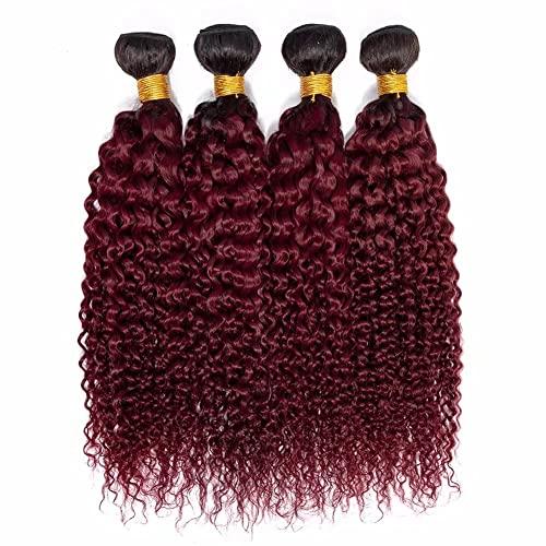 FEEL ME FEEL ME Ombre Curly Weave Human Hair Bundles Premium Brazilian Curly Virgin Hair 3 Bundles Ombre 1b/99j Burgundy Brazilian Deep Curly Hair Bundles(18 20 22)