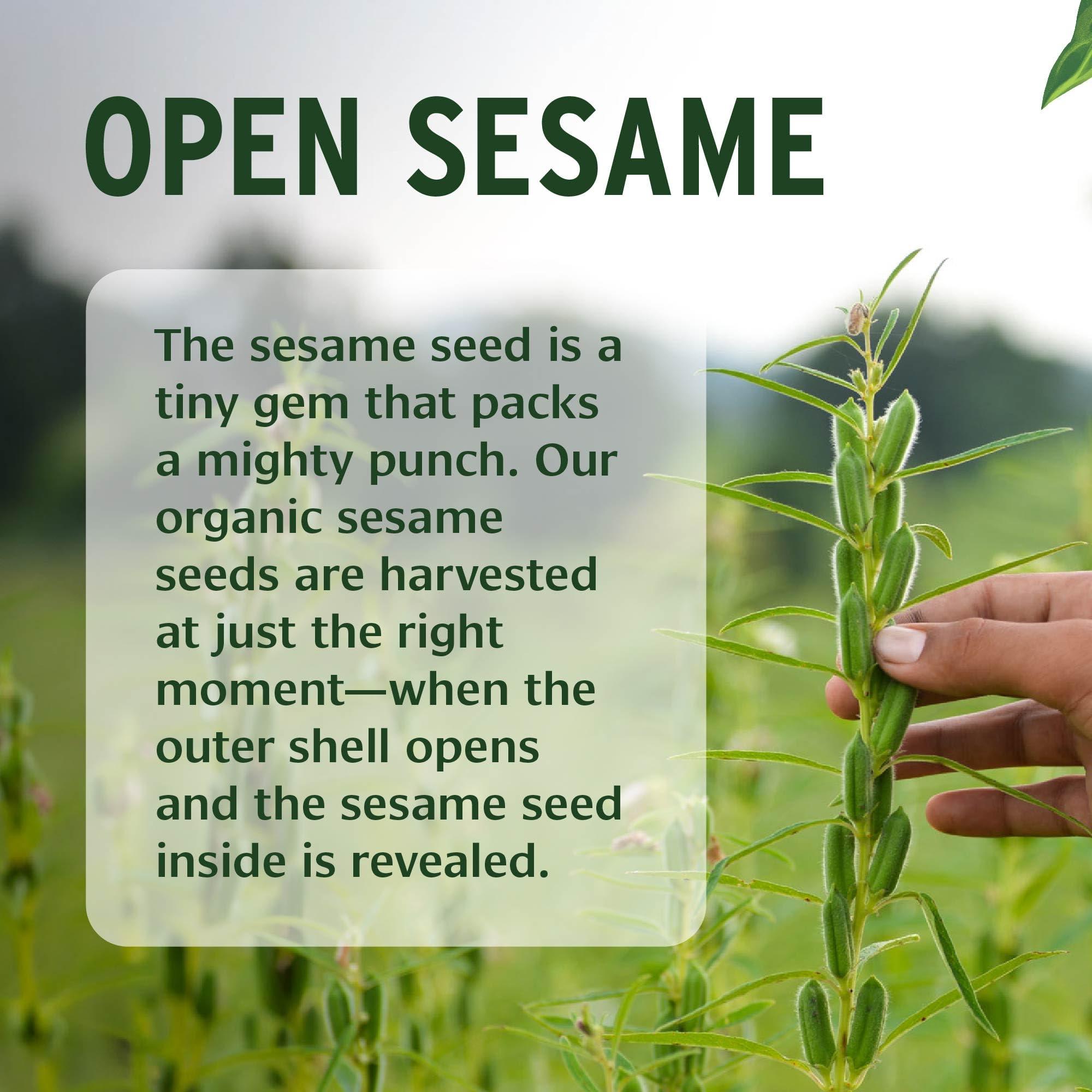 Banyan Botanicals Banyan Botanicals Sesame Oil  Organic & Unrefined Ayurvedic Oil for Skin, Hair, Oil Pulling & More  Multiple Sizes  16oz.  Non GMO Sustainably Sourced Vegan