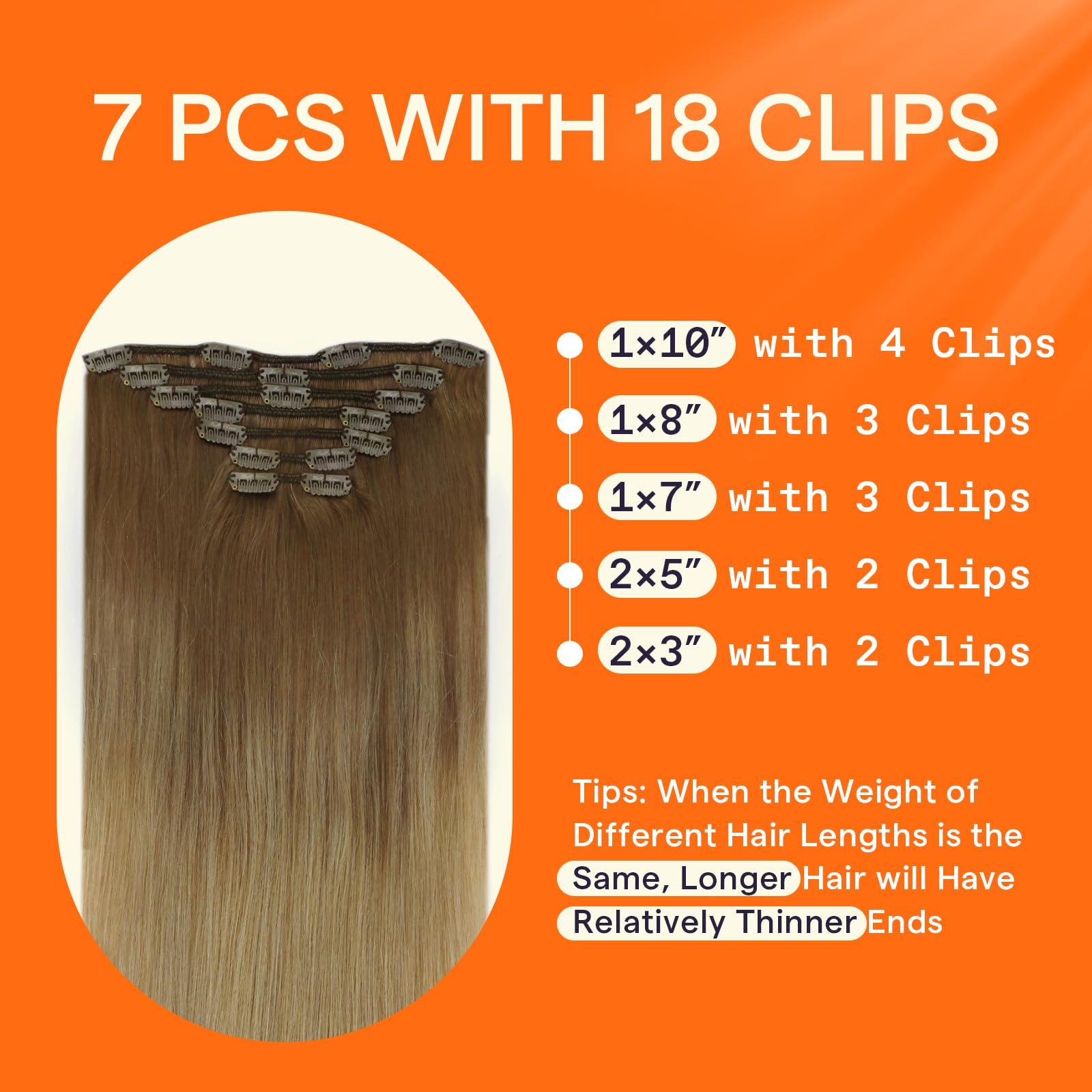 Full Shine Full Shine Balayage Clip in Hair Extensions Human Hair Blonde Clip in Extensions Human Hair Light Brown to Blonde Remy Clip Hair Double Weft Clip in Hair 7 Pcs 12 Inch