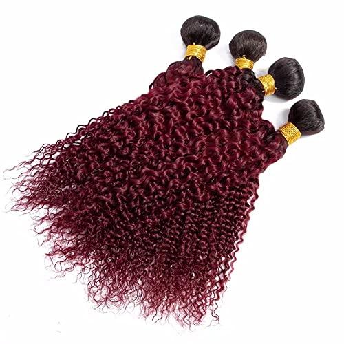 FEEL ME FEEL ME Ombre Curly Weave Human Hair Bundles Premium Brazilian Curly Virgin Hair 3 Bundles Ombre 1b/99j Burgundy Brazilian Deep Curly Hair Bundles(18 20 22)