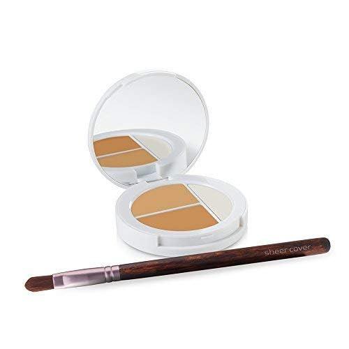 Sheer Cover Sheer Cover Studio Conceal and Brighten Highlight Trio Two-Toned Concealers Shimmering Highlighter Medium/Tan Shade With FREE Concealer Brush 3 Grams