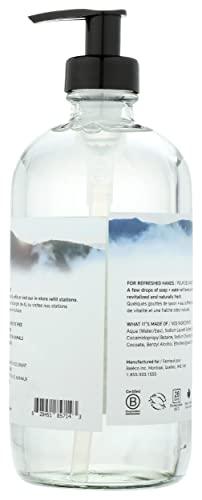 The Unscented Company The Unscented Company Unscented Liquid Hand Soap, 16.9 FZ