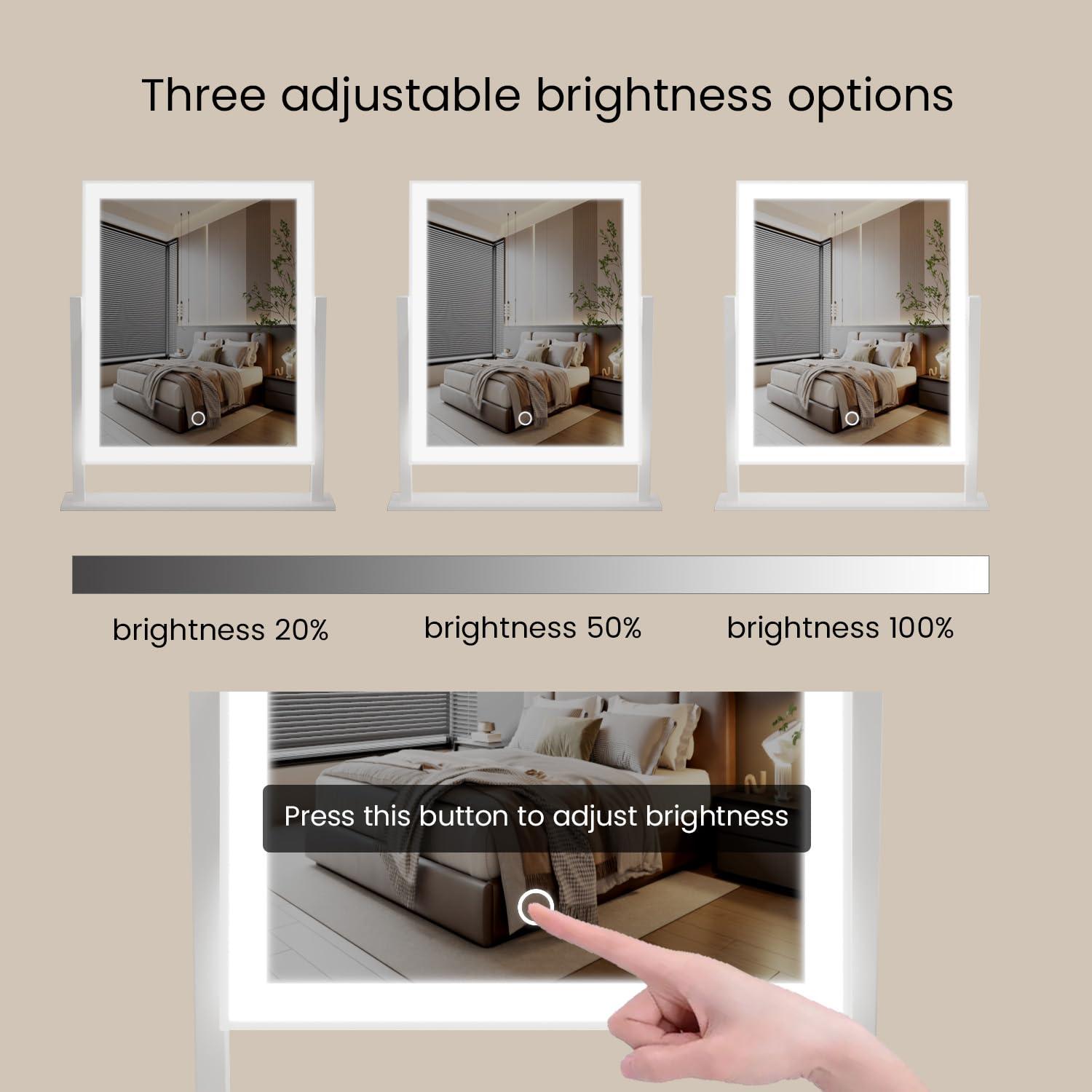 dicheng Lighted Makeup Mirror Hollywood Mirror Vanity Makeup Mirror with Light Smart Touch Control 3Colors Dimable Light 360°Rotation (16in, White)