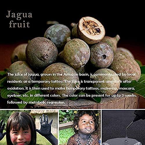 Jacknb Jacknb Temporary Tattoo Kit Jagua Gel Semi Permanent Tattoo Freehand Ink 4 Bottles (2oz) DIY Tattoos Fake Freckles Body Art Paint Kits 40 Pcs Free Tattoos Stencils (Black/Red/Purple/Brown)