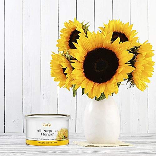 GiGi GiGi Professional Waxing Hair Removal Student Starter Kit + Honee Wax, 14 Ounces