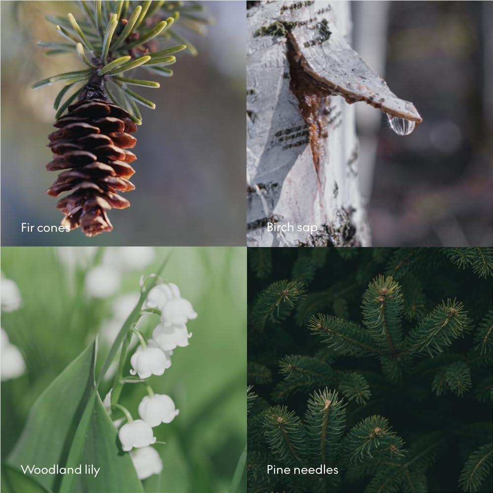 Skandinavisk Skandinavisk SKOG Forest Hand Cream, Scent Notes: Pine Needles and Fir Cones, Birch Sap and Woodland Lily of the Valley, Vegan Formula, 2.54 fl. oz.