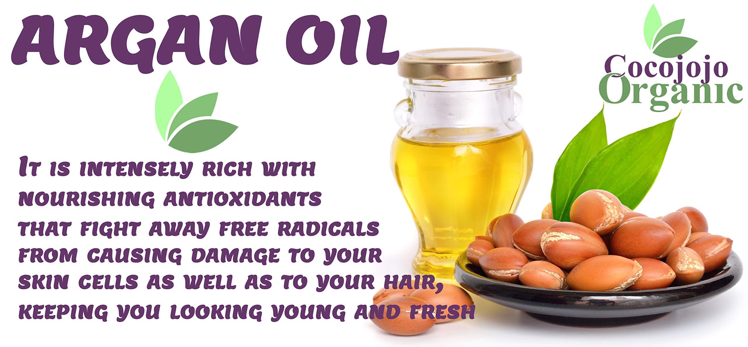 Dr Joe Lab Dr Joe Lab Argan Nut Oil 8 oz Pure Natural Moroccan Argon Nut Unrefined Cold Pressed Extra Virgin - for Hair Skin Body Nail and Beard - Moisturizing, Soothing, Hydrating, & Nourishing Marrakesh Oil