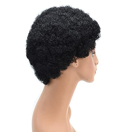 LYRICAL HAIR LYRICAL HAIR Afro Kinky Curly Wigs for Black Women Short Soft Brazilian Human Hair Natural Full Machine Made None Lace Front Glueless Wig for African American Ladies (#1 Jet Black)
