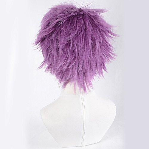 magic acgn magic acgn Lancelot Fate/Grand Order purple Layered Short Game Hair Cosplay Wig Halloween Wig ?