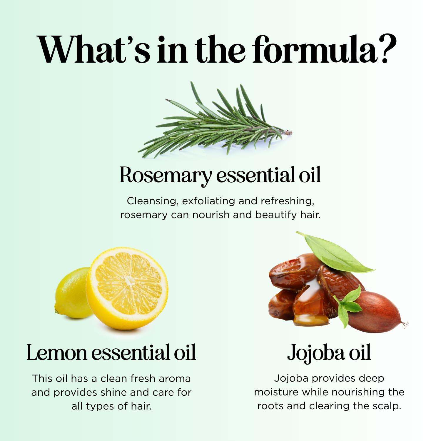 Maple Holistics Clarifying Shampoo for Oily Hair and Scalp - Deep Cleansing Shampoo Build Up Remover with Rosemary Oil - Degrease Shampoo for Greasy Hair & Scalp - Vegan Color Safe Sulfate & Paraben Free (10 Fl Oz)