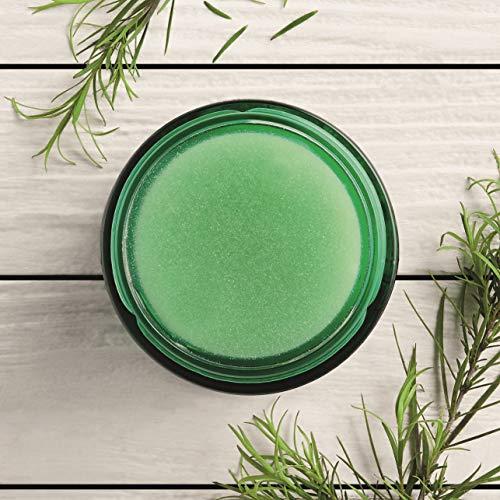 The Body Shop The Body Shop Tea Tree Anti-Imperfection Night Mask, 2.6 Fl Oz (Vegan)