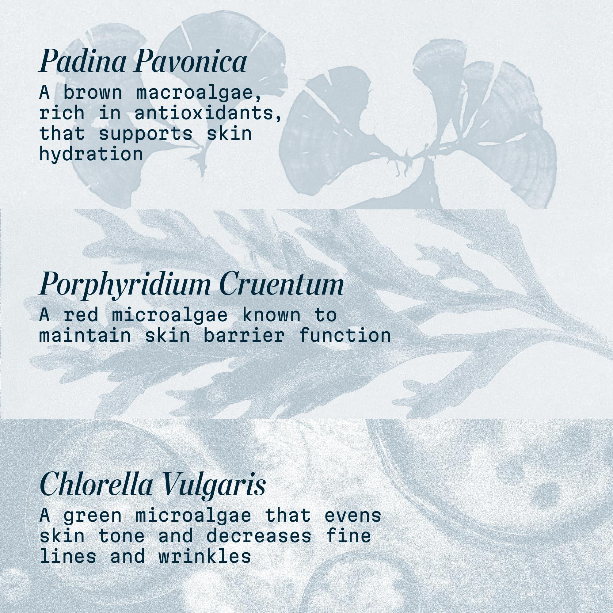 ELEMIS ELEMIS Pro-Collagen Marine Cream, Moisturizer Face Cream, Hydrating Face Moisturizer for Dry Skin, Best Moisturizer for Aging Skin, Anti Aging Gel Moisturizer for Face, Firming Facial Cream