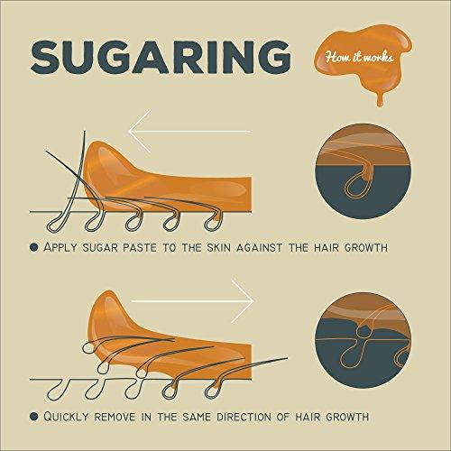 Sugaring Factory Sugaring Paste Luxury Pro Waxing Kit - Super Soft Organic Sugar Wax for Strips & Facial Hair - Made in USA, 43 oz - For Women and Men