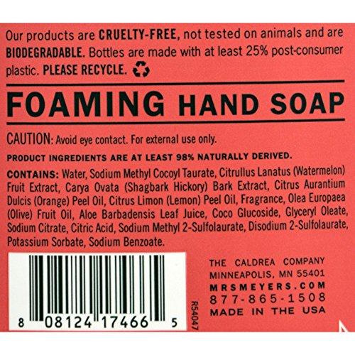 MRS. MEYER'S CLEAN DAY Mrs. Meyers Clean Day Liquid Hand Soap Liquid 10 Fl Oz, Pack of 6