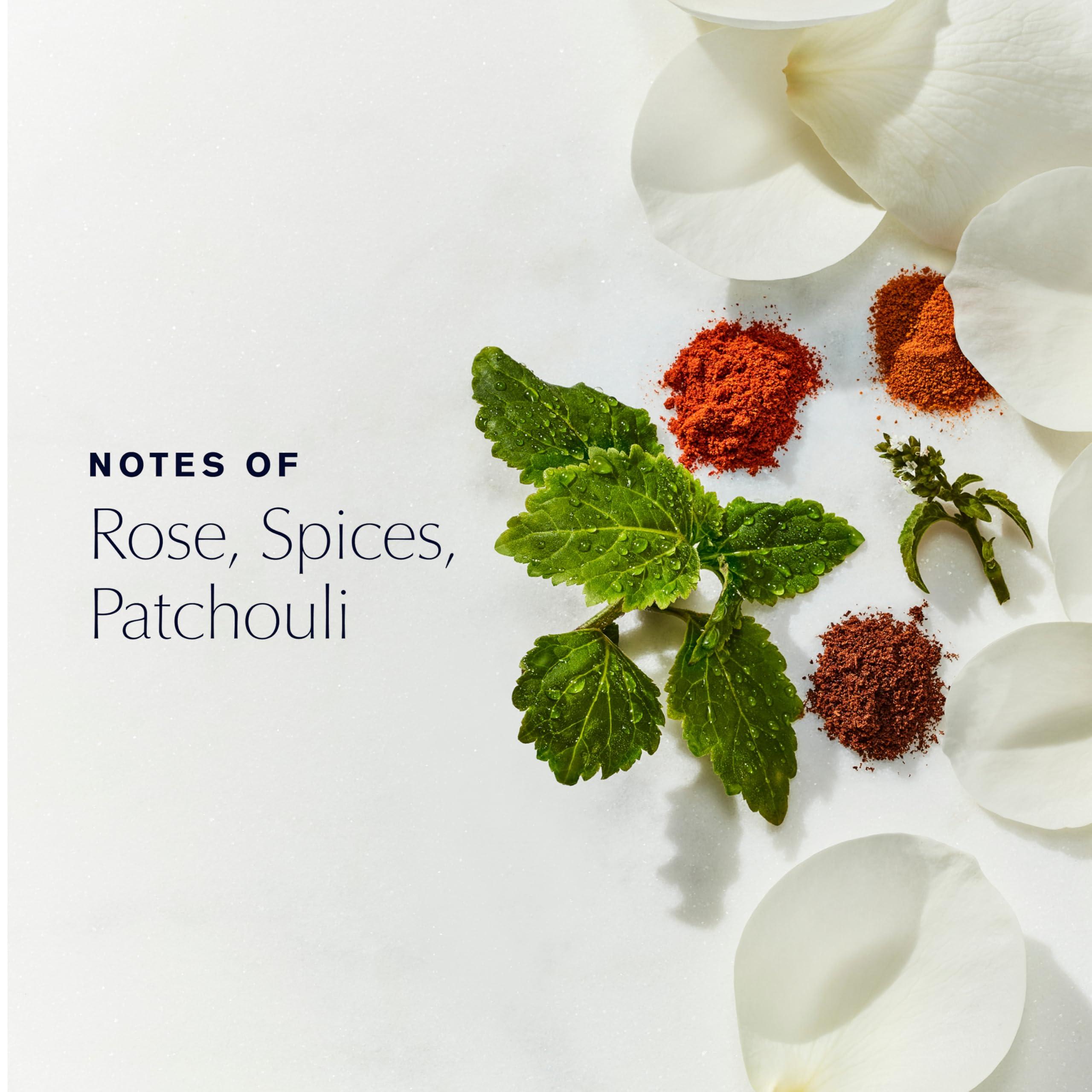 Este Lauder Este Lauder Youth-Dew Bath Oil with Notes of Rose, Spices & Patchouli, 2.0 Fl Oz