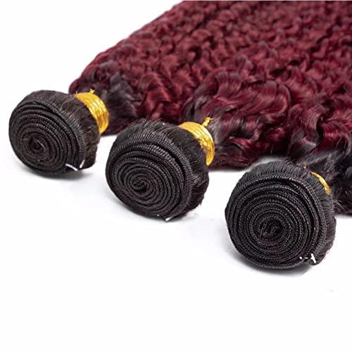FEEL ME FEEL ME Ombre Curly Weave Human Hair Bundles Premium Brazilian Curly Virgin Hair 3 Bundles Ombre 1b/99j Burgundy Brazilian Deep Curly Hair Bundles(18 20 22)