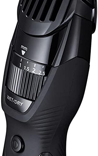 Panasonic Panasonic ER-GB42 Wet/Dry Beard Trimmer, Gray