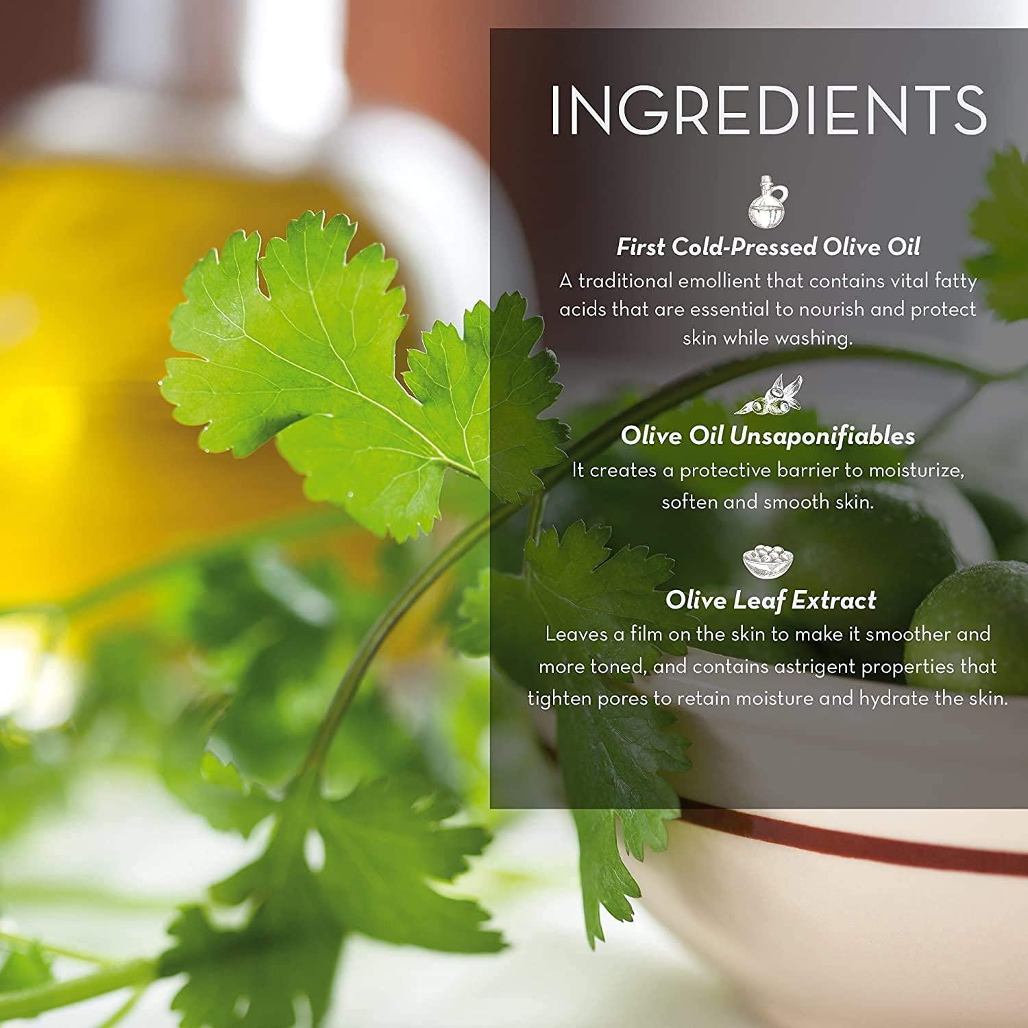 Fruits and Passion Fruits & Passion [Cucina] - Lime Zest & Cypress Tree Hand Care Duo Caddy Gift Set | Liquid Hand Soap Wash (5.1 oz) with Hand Cream Lotion (6.8 oz)