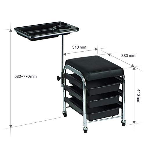 JJPSQ HORV Mobile Salon Hairdresser Barber Beauty Storage Trolley Manicure Nail Hair Tool Cart Chair Pedicure Stool Table (Black,White)