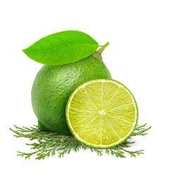 Fruits and Passion Fruits & Passion [Cucina] - Lime Zest & Cypress Tree Hand Care Duo Caddy Gift Set | Liquid Hand Soap Wash (5.1 oz) with Hand Cream Lotion (6.8 oz)