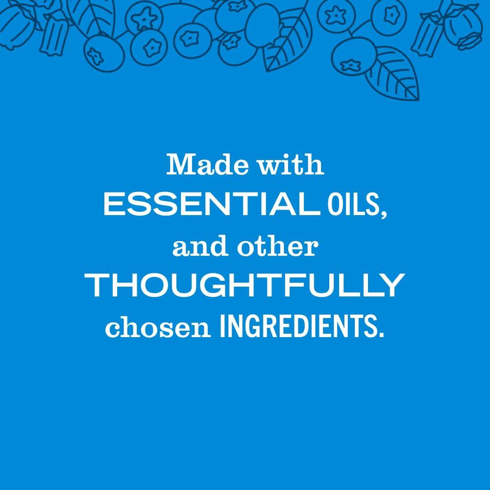 MRS. MEYER'S CLEAN DAY MRS. MEYER'S CLEAN DAY Liquid Hand Soap, Blueberry Scent, 12.5 Ounce Bottle