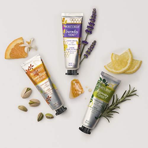 Burt's Bees Burts Bees Rosemary & Lemon Hand Cream with Shea Butter, 1 Oz (Package May Vary)