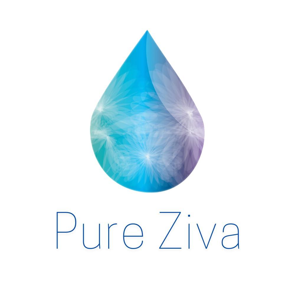 Pure Ziva Pure Ziva Matte Blue & Silver Vegan Eyeshadow Palette; Talc, Paraben & Cruelty Free