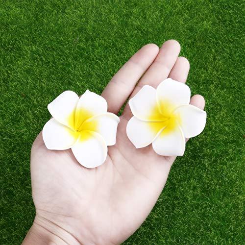 Beaupretty 100pcs Wedding Flower Frangipani Flower Fresh Flower Leis Artificial Frangipani Hawaiian Flowers Hawaiian Flower Hair Flower Hair Wreath Flower Hair Clips Foam Diy Bride White 6cm