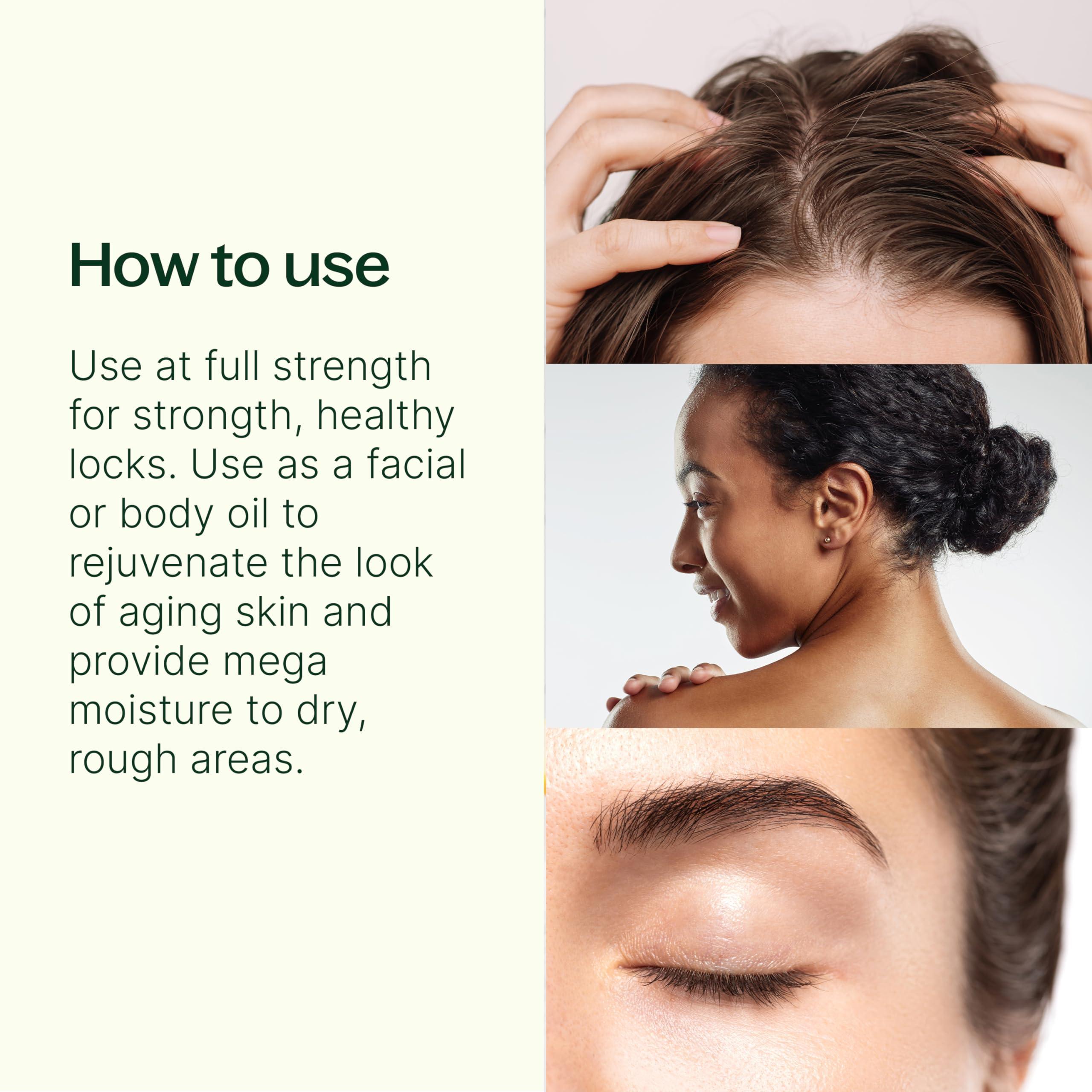 Plant Therapy Plant Therapy Organic Argan Oil, USDA Certified, First-Press, Virgin, for Face, Hair, Skin, Nails and Cuticles 16 oz