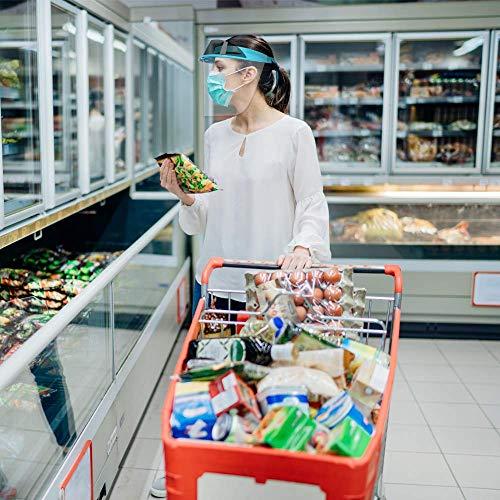 Pac-Dent Pac-Dent iVisor Plus Reusable Face Shield Kit, Full Face Protective Shield with Anti-Fog Coating and Cinch Cord, Adjustable to Comfortably Fit All Head Sizes, Teal