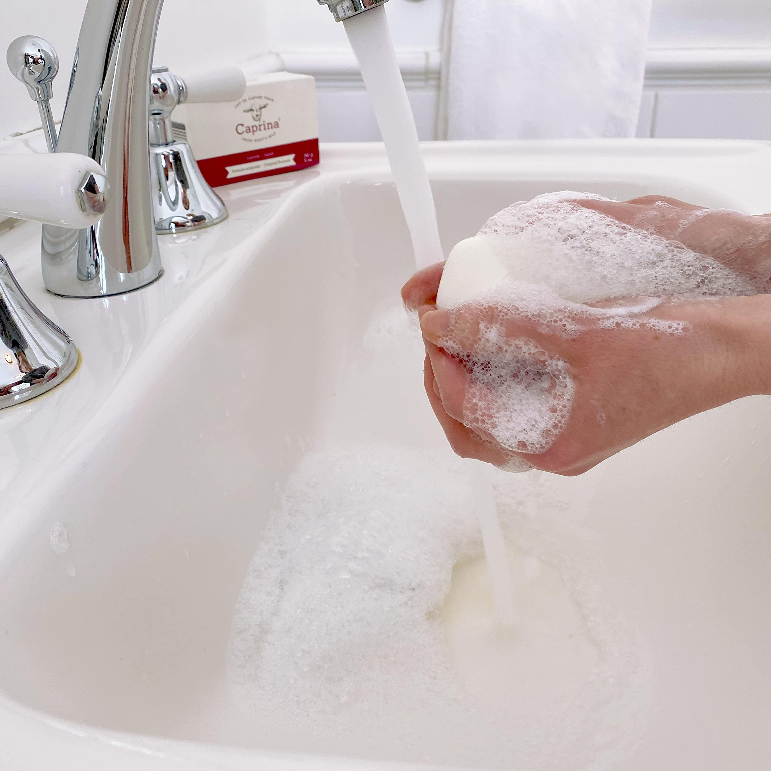 Caprina by Canus Caprina by Canus Bar Soap 3.2 Oz 6 Pack With Fresh Canadian Goat Milk Vitamin A B3 Potassium Zinc and Selenium 6, Shea Butter, 1 Count