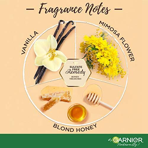 Garnier Garnier Whole Blends Sulfate Free Remedy Honey Treasures Replenishing Shampoo and Conditioner Set for Very Damaged Hair with Sample, 12 Fl Oz, 1 Kit (Packaging May Vary)