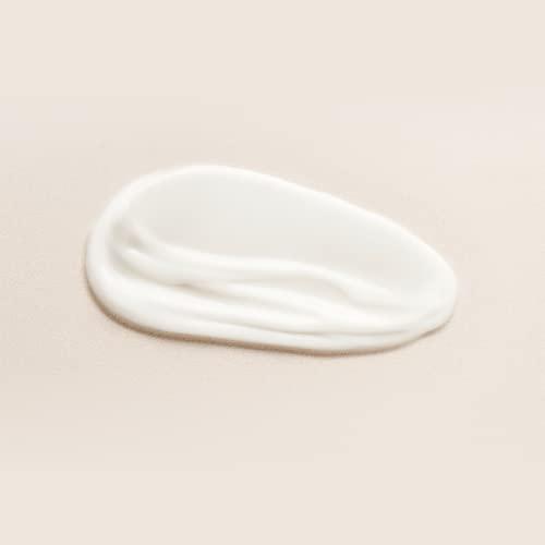 Dime Dime Beauty Restorative Night Cream, Facial Moisturizer with Ceramides and Sea Buckthorn, 1.7 oz / 50 ml